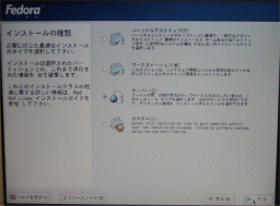 �C���X�g�[���^�C�v