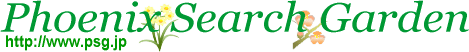 �t�F�j�b�N�X�T�[�`�K�[�f���i����T�[�o�[�\�z�j