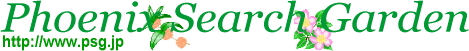 �t�F�j�b�N�X�T�[�`�K�[�f���i����T�[�o�[�\�z�j