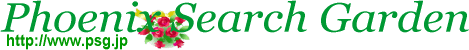 �t�F�j�b�N�X�T�[�`�K�[�f���i����T�[�o�[�\�z�j